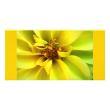 Yellow Flower - Photocard Bilderkarte