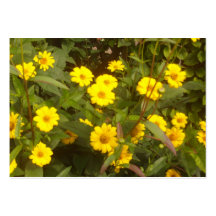 yellow Flowers Visitenkartenvorlage