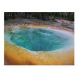 Yellowstone-heiße Quelle Postkarte