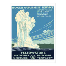 Yellowstone Nationalpark Postkarte