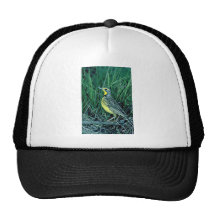 Yellowthroated Longclaw Netzmütze