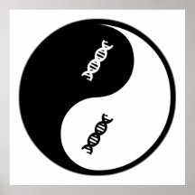 Yin Yang Genetik Plakate