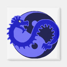 Yin Yang Schutz 2 Magnete