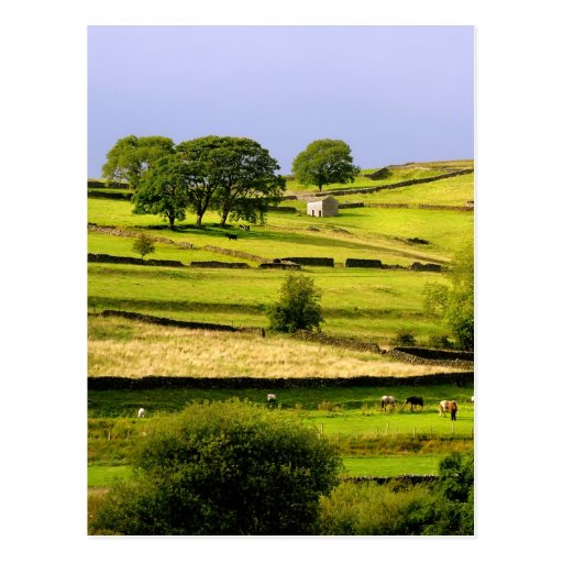 Yorkshire-Landschaft Postkarten