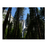 Yosemite- Falls und Holz-Postkarte
