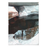 Yosemite Nationalpark Kunstfotos