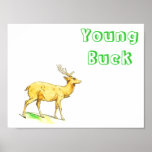 Young Buck Posterdrucke