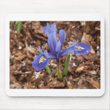 Young Iris Mouse Pads