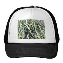 Yucca-Pflanze Truckermütze