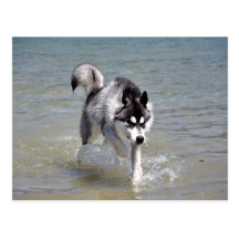 YukonWasser Postkarte