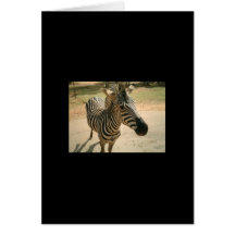 Zebra Karten