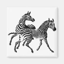 Zebrazebras-Vintager hölzerner Stich Magnete