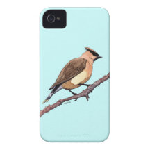 Zeder Waxwingvogel Case-Mate iPhone 4 Hülle
