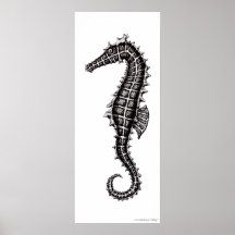 Zeichnendes Kunstschwarzweiss-plakat des Seepferds