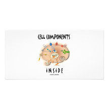 Zellen-Komponenten nach innen Photokarte