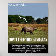 Ziehen Sie nicht das CapybarasPoster ein