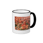 Zierliche Herbst Forals Kaffeetasse