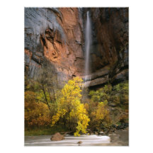 Zion Nationalpark, Utah. USA. Ephemer Photodrucke