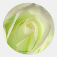 Zitronen-Limoner Rosen-Hochzeits-Umschlag Aufklebe