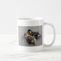 Zwei Baby-Stockenten Tee Tasse