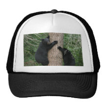 zwei Bären in einem Baum Cap