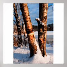 Zwei Bäume im Schnee HDR, Jeffrey Sinnock Plakatdrucke
