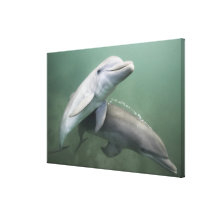 Zwei Delphine Unterwasser Galerie Faltleinwand