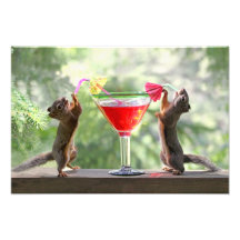 Zwei Eichhörnchen, die ein Cocktail trinken Photographie
