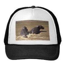Zwei Flusspferde Trucker Cap