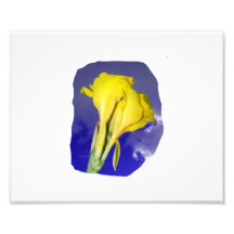 Zwei gelbe Blumen-blauer Himmel Photodruck
