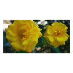 Zwei gelbe Rosen mit Blätter - Blumenphotographie Photo Grußkarte