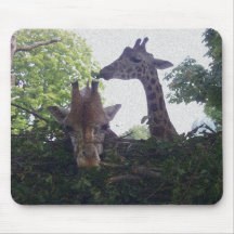Zwei Giraffen Mousepads