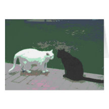 Zwei Katzen Grußkarte