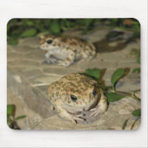 Zwei kleine Kröten - Druck des grünen Frosches Mousepad