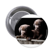 Zwei Schokoladen-Labrador-Welpen Anstecknadelbuttons