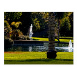 Zwei Wasserbrunnens und eine Palme, Postkarte