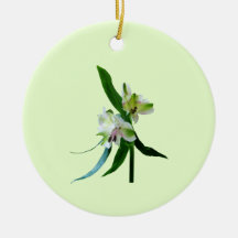Zwei weiße asiatische Lilien Ornamente
