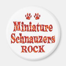 Zwergschnauzer-Felsen Kühlschrankmagnete