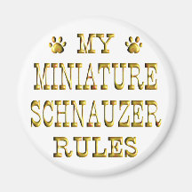 Zwergschnauzer ordnet Gold an Kühlschrankmagnete