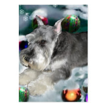 Zwergschnauzer-Weihnachtsgeschenke Visitenkarten