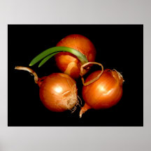 Zwiebel-Plakat