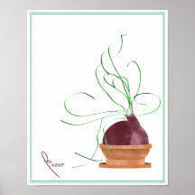 Zwiebel-Schönheit Posterdruck