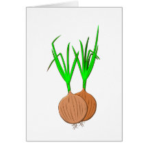 Zwiebeln onions grußkarte