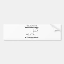 Zyklisches Adenosin-Monophosphat (cAMP) von Atp Auto Sticker
