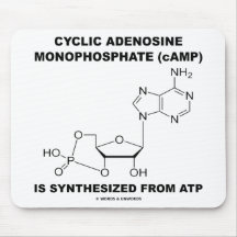 Zyklisches Adenosin-Monophosphat (cAMP) von Atp Mauspads