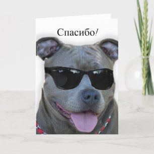 спасибо Russian Thank you Pitbull greeting card Dankeskarte