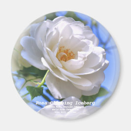 つ る ア ス グ MAGNET