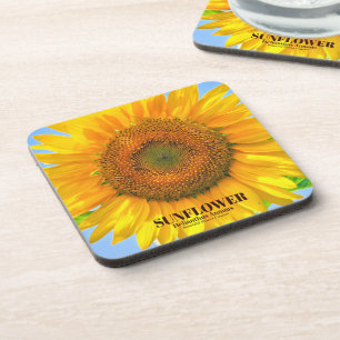 ひ ま わ り GETRÄNKEUNTERSETZER