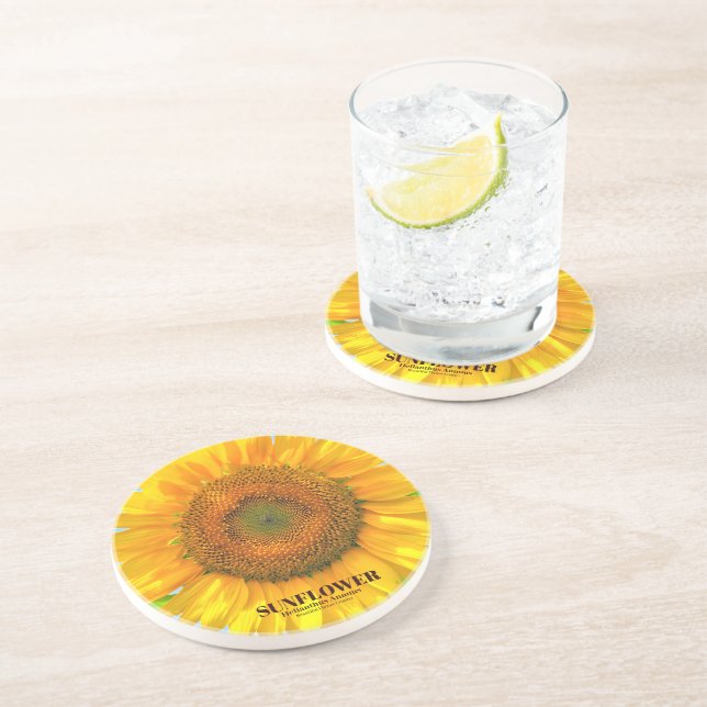 ひ ま わ り GETRÄNKEUNTERSETZER (Seite)