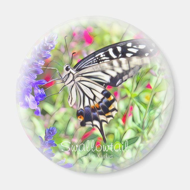 ア ゲ ハ ウ ョ グ ネ. MAGNET (Vorne)